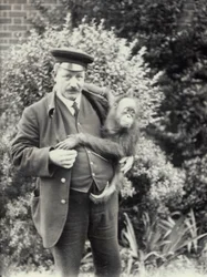 Custode Z. Rodwell con giovane orangutan allo Zoo di Londra, ottobre 1913